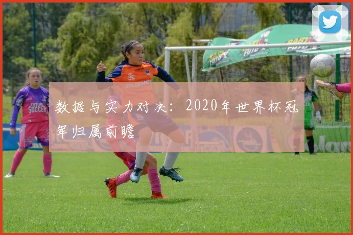 数据与实力对决：2020年世界杯冠军归属前瞻
