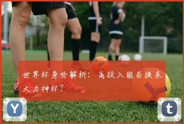 世界杯身价解析：高投入能否换来大力神杯？